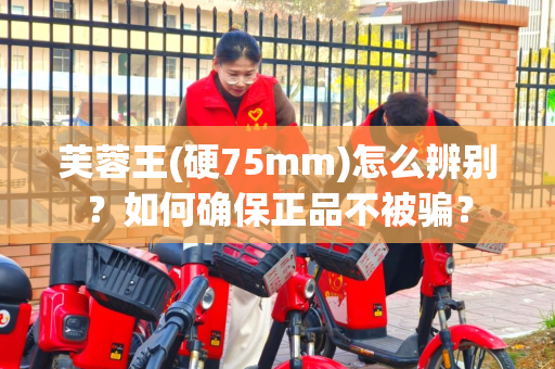 芙蓉王(硬75mm)怎么辨别？如何确保正品不被骗？